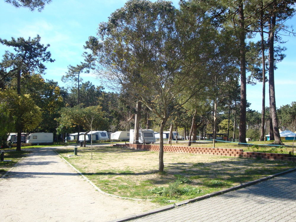 מלון Parque De Campismo Orbitur קמיניה מראה חיצוני תמונה